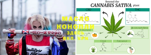 сатива Армянск