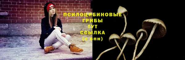 ALPHA PVP Ростов